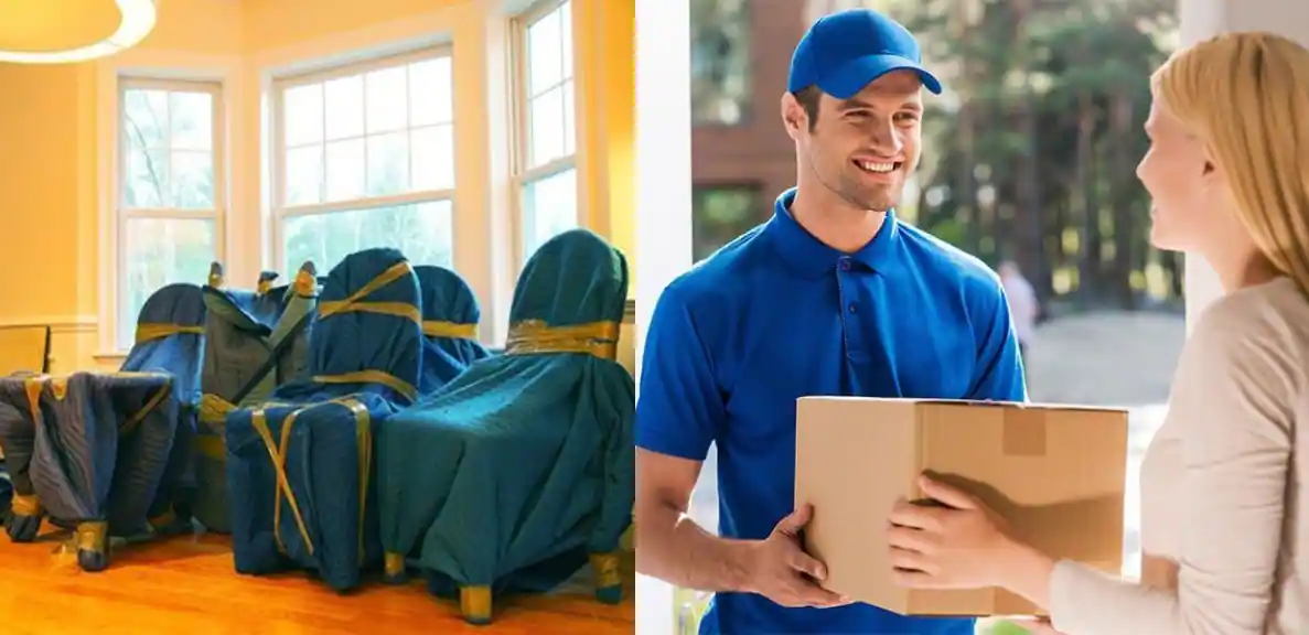 Packers and Movers