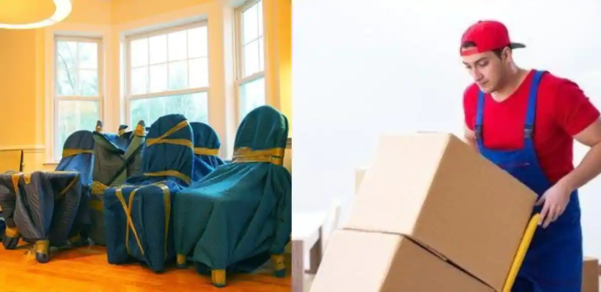 Packers and Movers
