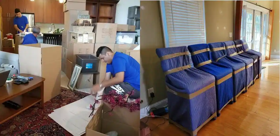 Packers and Movers