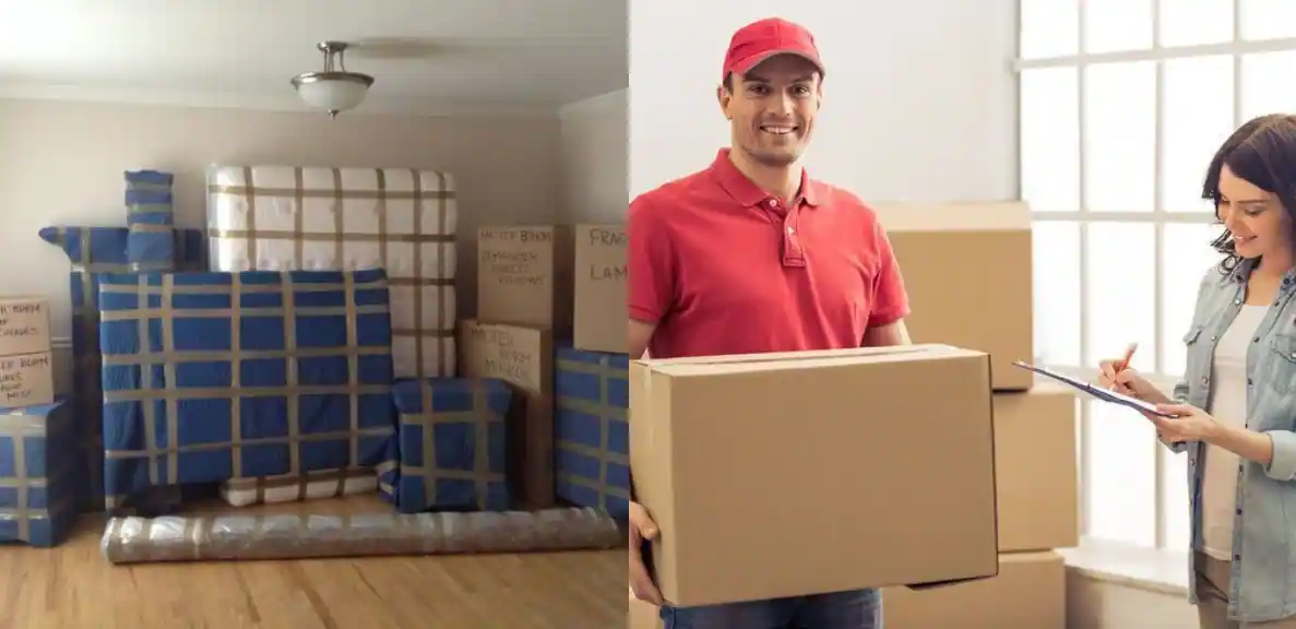 Packers and Movers
